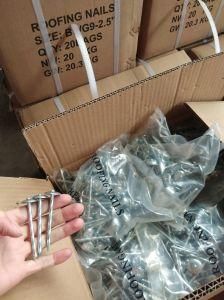 Nail, Roofing Nail, Roofing Nail with Umbrella Head