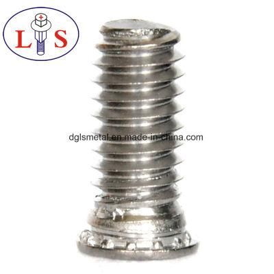 Customized High Quality Screw with Factory Price