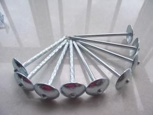 Roofing Nails with Umbrella Head