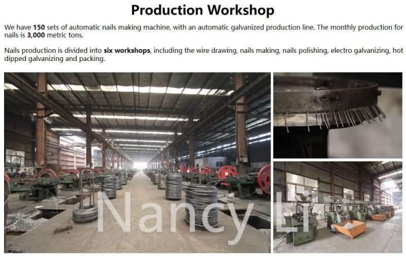 Galvanized Umbrella Roofing Nail Color Zinc Corrugated Nail