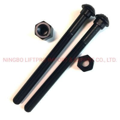 Manufacturer of Track Bolt and Nut Stainless Steel SS304 316 Carbon Steel Rail Way Nut and Bolt