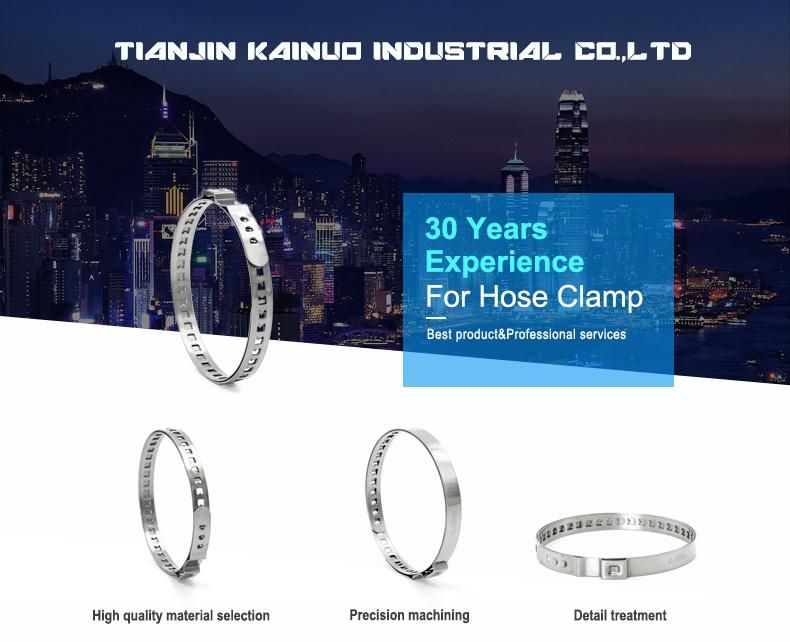 304ss Stainless Steel Adjustable Single Ear Hose Clamp, CV Joint Clamp, 25-40mm