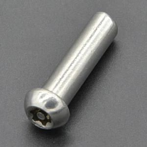 Round Head Torx Non Standard Bolt (CZ146)