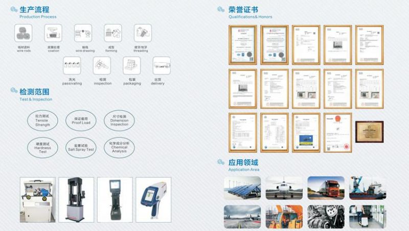 Non- Standard Stainless Steel T Nut