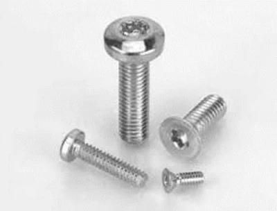 Pan Head Torx Plus Drive