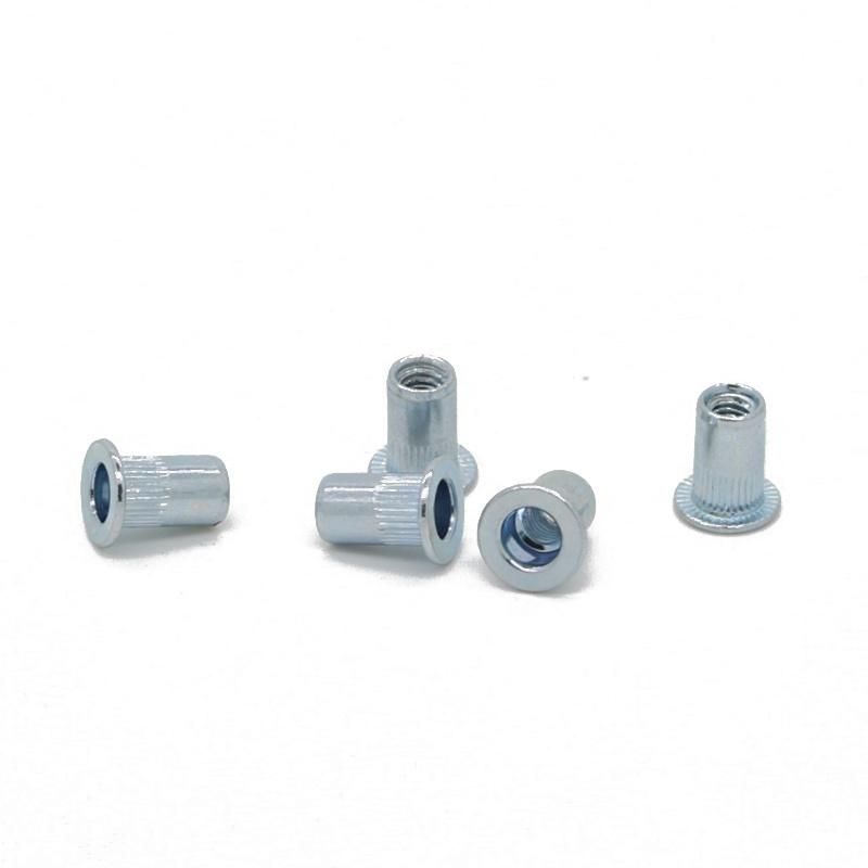 Round Head Rivet Nut M3 M12 Made in China
