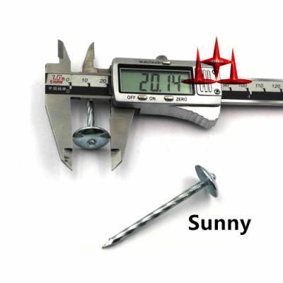 Eg Umbrella Roofing Nails with Smooth Shank with Washer