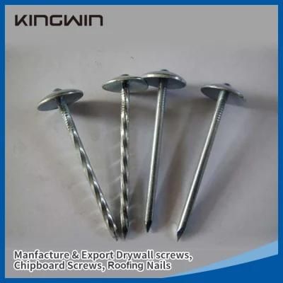 China Wholesale Galvanized Smooth / Twisted Shank 9bwg X 2.5&quot;10bwg X 2&quot; 12bwg 7lbs 8boxes 3.125kg / Box Umbrella Head Roofing Nails