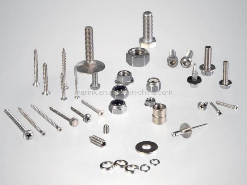 China High Quality Hardware Point Top Fix C/W Baz Washer Screw