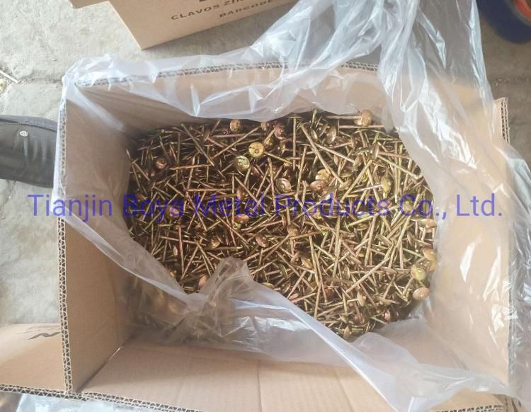 Good Quality 2.5 Inch Umbrealla Head Roofing Nails