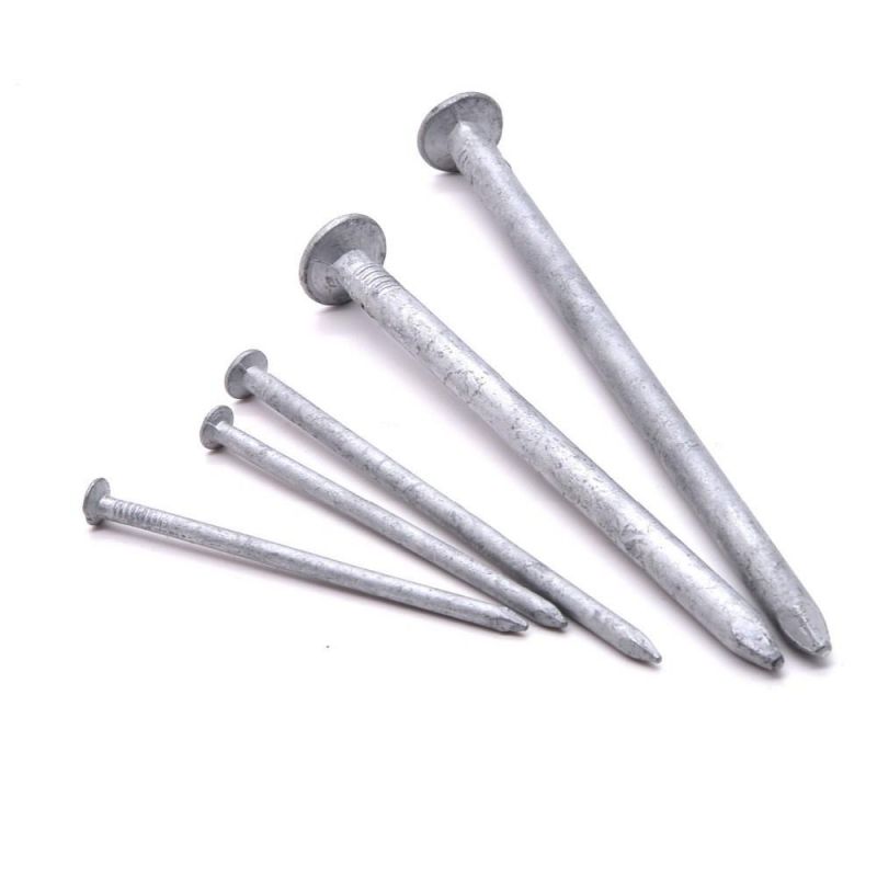 Angola Zambia Namibia Market/Wholesale Quality Iron Common Nail Prices Construction Nails for Wood