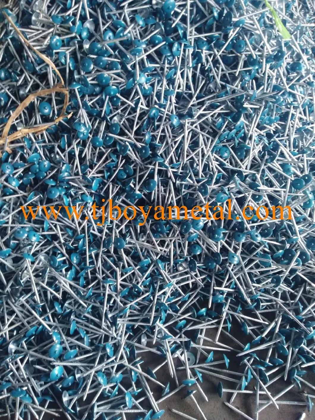 Color Umbrella Head Roofing Nail Umberlla Head Umbrella Type Roofing Nails Color Umbrella Head Roofing Nail with Washer From Factory