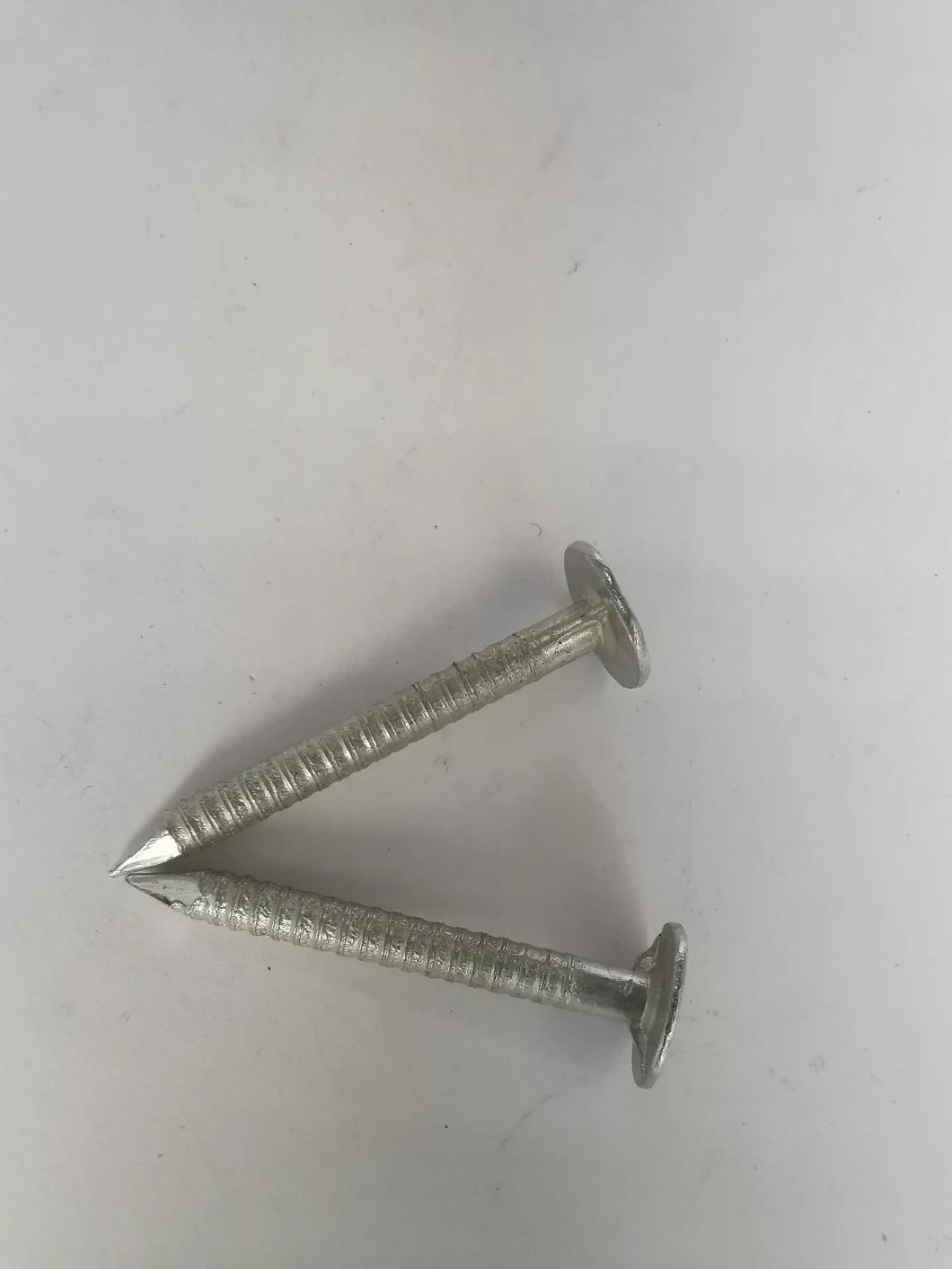 High Quality Ring Shank Roofing Nail