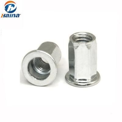 Stainless Steel 304 Flat Head Hex Rivet Nut