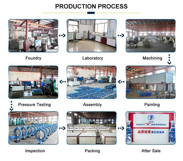 Flanged End Y Strainer Y Stype Filter Butterfly Valve