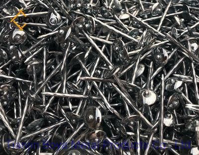 Factory Price Galvanized Umbrella Head Roofing Nail/Umbrella Nail/Clout Nail/Big Head Nail/Iron Nail/Building Nail