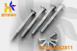 Carriage Bolt