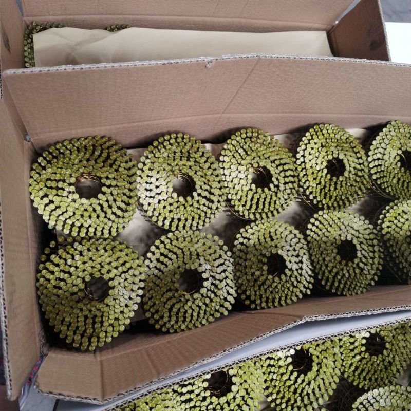 Screw Ring Shank Coil Nails in Rolls for Wooden Pallet