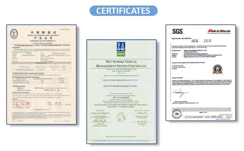 High Quality Corrosion Resistant Stainless Steel Eye Nut of DIN582 with SGS Certification