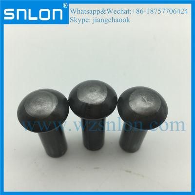Round Head Rivet Blind Rivet for Automotive Bolts