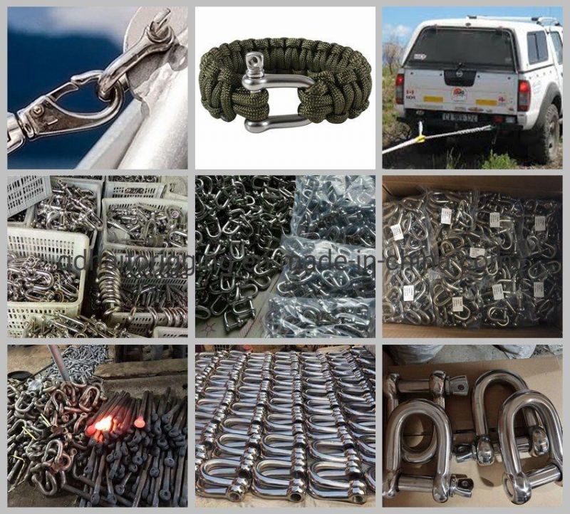 Stainless Steel Large Dee Shackle of European Type