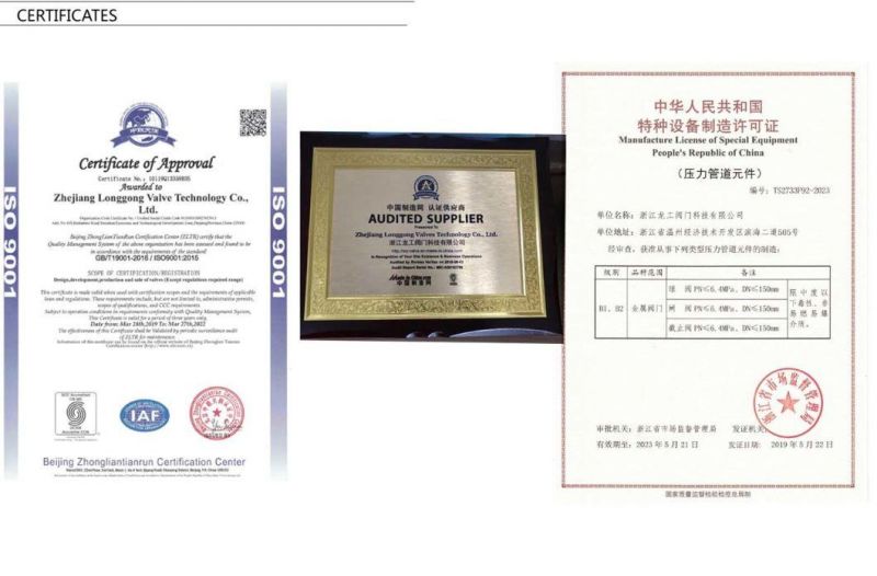 ANSI/DIN/GB SS304 SS316 Stainless Steel Forged Flange