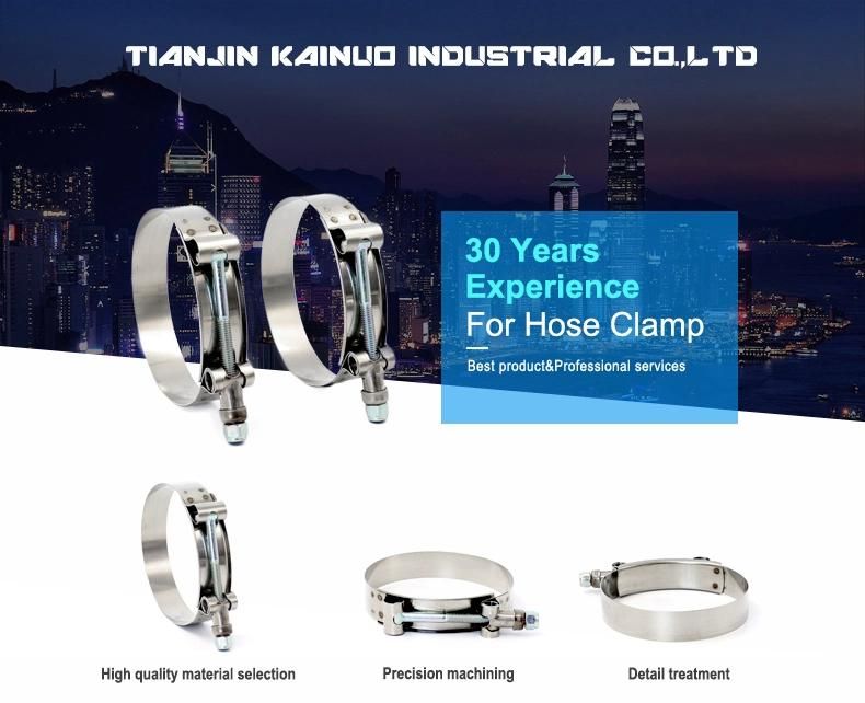 19mm Bandwidth Zinc Palted Steel T Bolt and Nut Adjustable Heavy Duty Hose Clamp for Automotive, 127-135mm