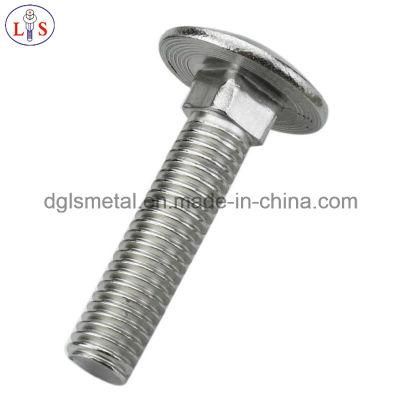 Stainless Steel 304 Carriage Bolt and Square Neck Bolt