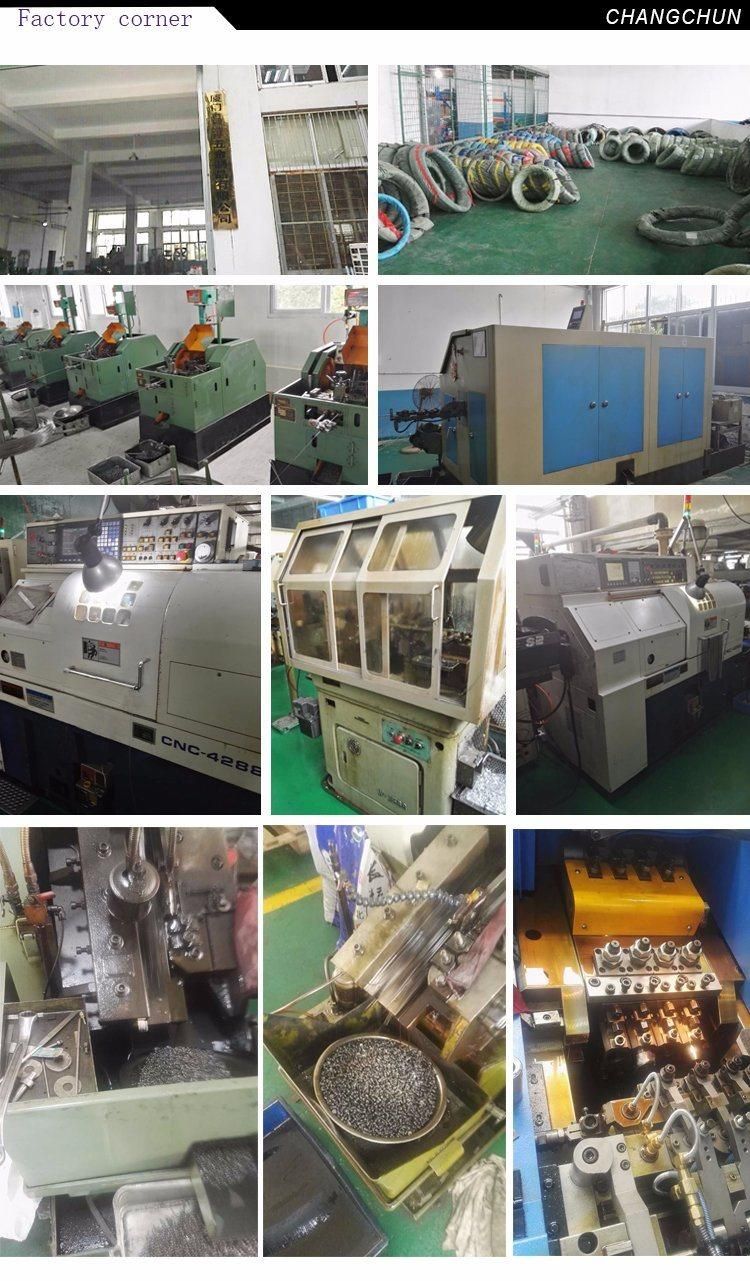 Wholesale Carbon Steel Galvanized Head Socket Cap Machine Screw