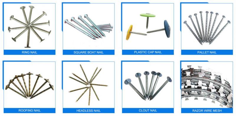 Cut Masonry Nails Cut Masonry Nail Hardened Steel Bright Polish Electric Hot Dipped Galvanized Steel panel Pins Square Cut Tack Masonry Nails