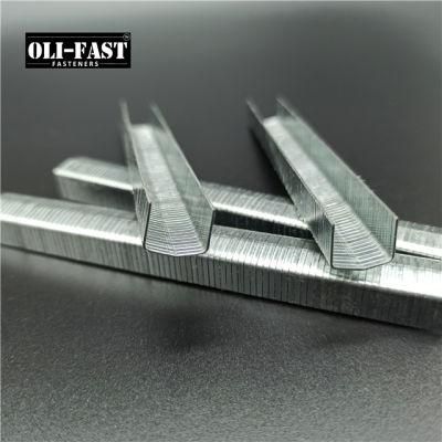 20ga Stcr5019/10mm Staples Factory Supply with Premium Quality