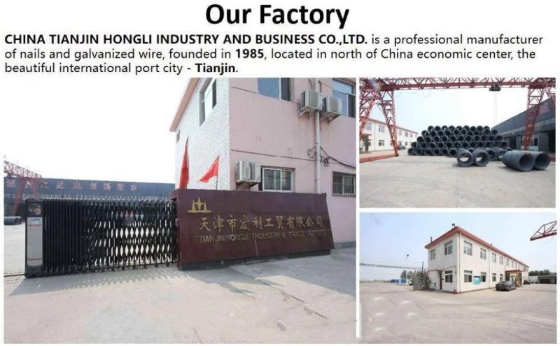 17X27 Bright Common Wire Nails Checked Head Tianjin Hongli Manufacture