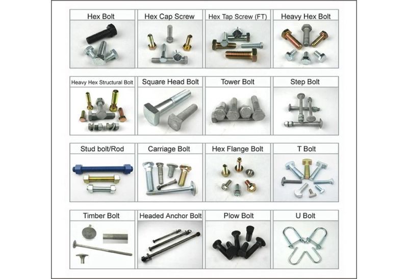 High Quality Stud Bolt/Hex Bolt/U Bolt/Concrete Anchor/Thread Rod/Anchor Bolt Supplier with Cheap Price and OEM Services
