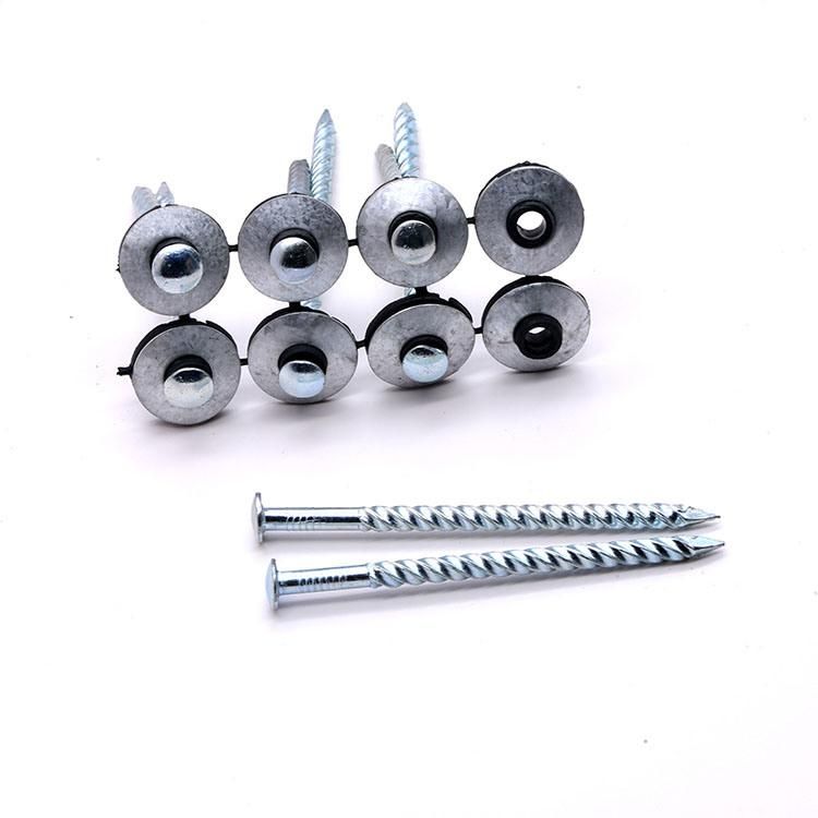South Africa Nigeria Angola Zambia Namibia Market/Top Quality Umbrella Head with Roofing Nails for Africa