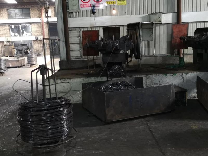 Manufacturer Wholesale High Quality Common Iron Nail