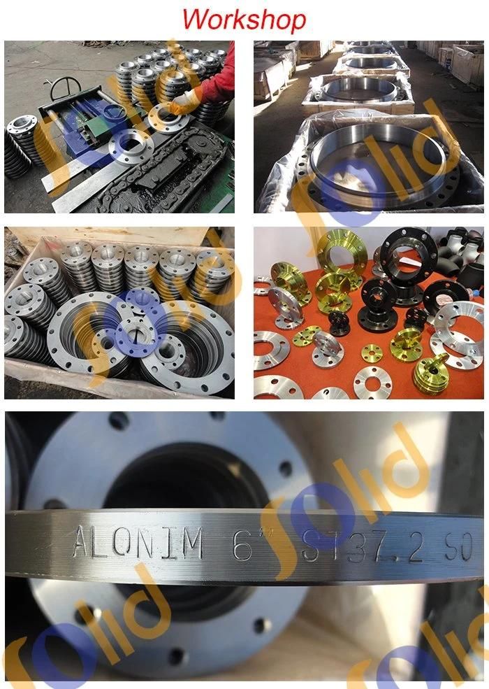 Galvanized Flanges Forged So Flanges Galvanize Coated Flanges
