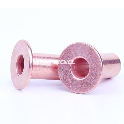 Fricwel Auto Parts Rivet Copper Rivet 120 Sunk Head Rivet Factory Price Dt-120b