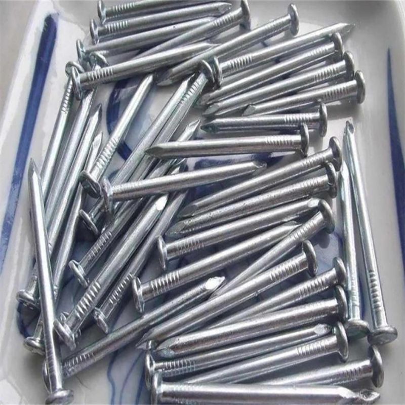 Factory Galvanized and Polished Concrete Nails for Building