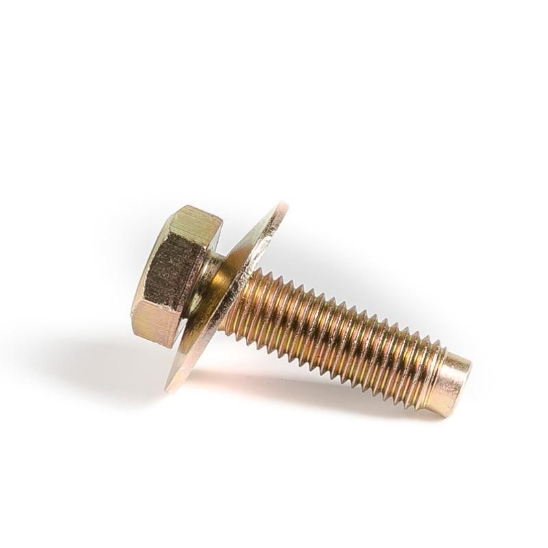 SS304 SS316 DIN933 DIN931 Bolt and Nut Stainless Steel Hexagon Head Full Threaded Bolts