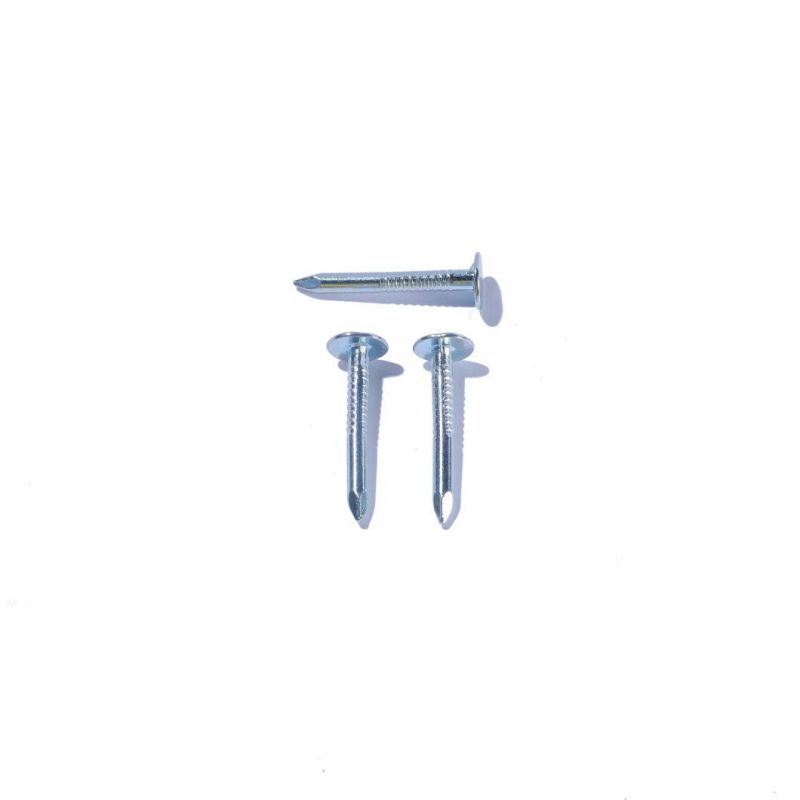 Hot Dipped Galvanized Clout Head Nail Cupper Nails Flat Head Roofing Nails