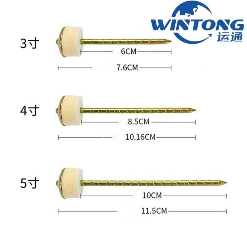 Common Nail/Wire Nails/Coil Nails