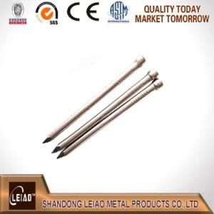 Polish Common Nails Less Head with out Head
