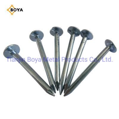 China Galvanized Large Head Clout Nails /Big Head Nail/Roofing Nail