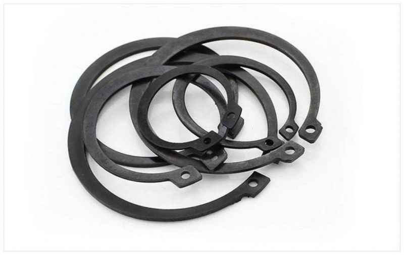 SGS Stainless Steel Retaining Ring