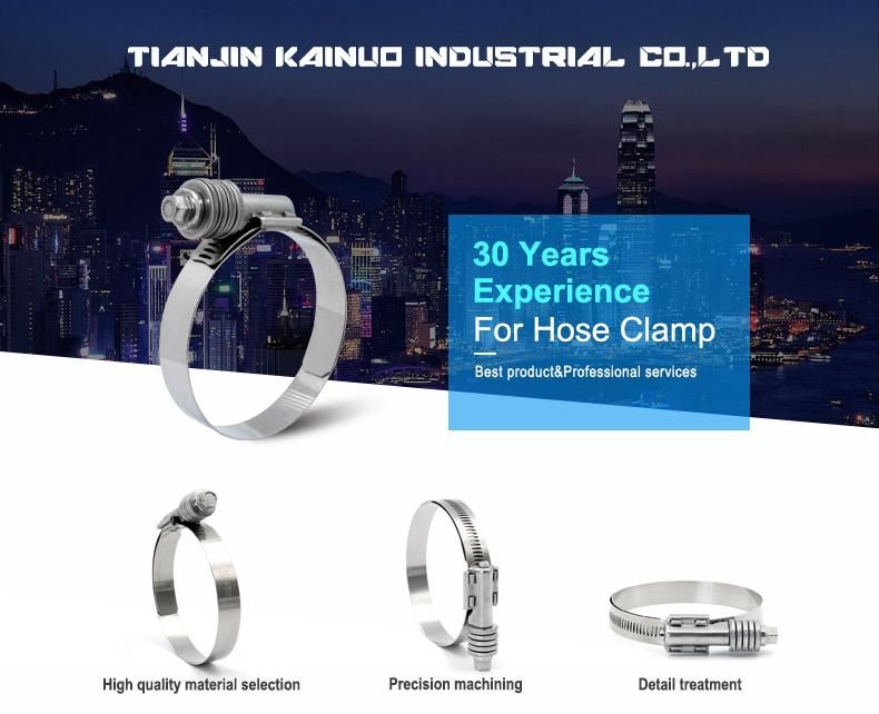 High Pressure W2 Stainless Steel Heavy Duty American Type Constant Tension Hose Tube Clamp, 15.8mm Bandwidth, 184-206mm
