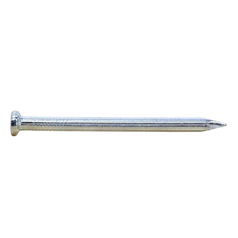 Galvanized Smooth Shank Concrete Nail in Guangzhou