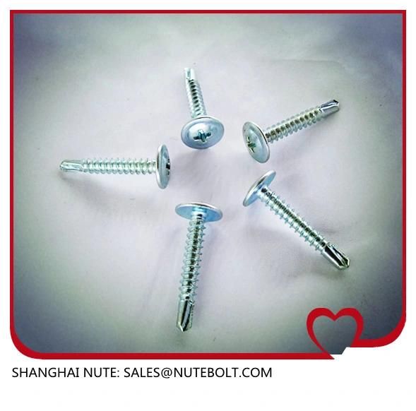 Stainless Steel 304 316 410 Self Drilling Screws St2.9 to St6.3, Flat Head, Pan Head, Hex Washer Head, Truss Head, and So on.