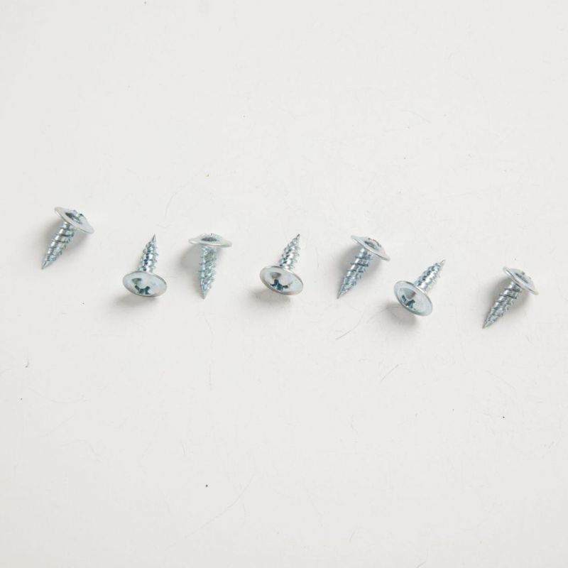 Tianjin China Factory Hot Selling Truss Head Self Tapping Screw