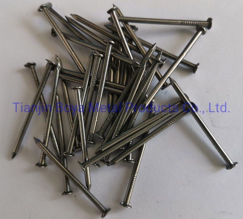 High Quality Polished Common Nails/Hardware/Galvanized/Hot Dipped Galvanized/Electro Galvanized Iron Nail From Tianjin Boya