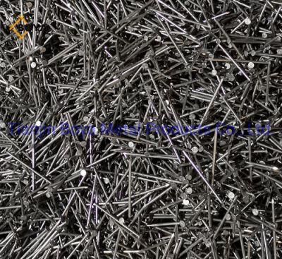 Best Quality Common Nails/Galvanized Nail/Building Nail/Hardware Iron Nail